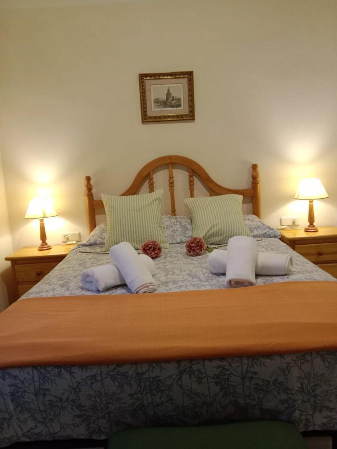 Wish Setas De Appartement